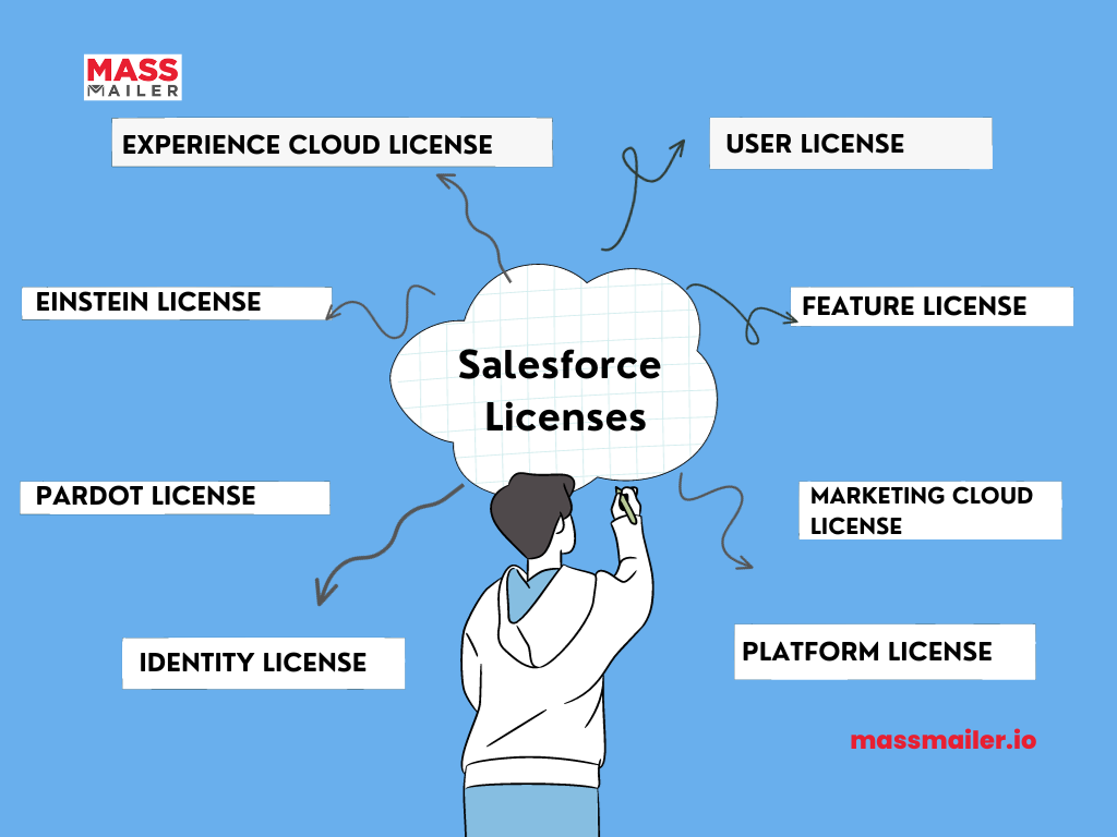 Salesforce License's 