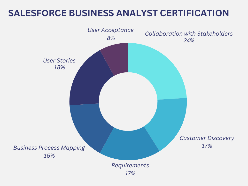 Salesforce Business Analyst Certification 