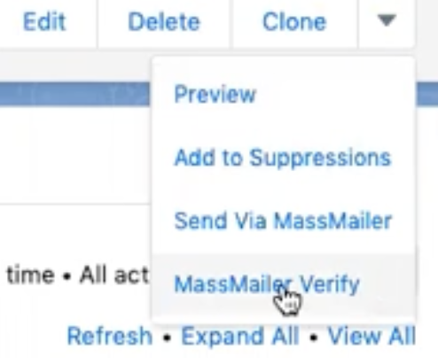 How to verify emails in Salesforce using MassMailer blog image 2