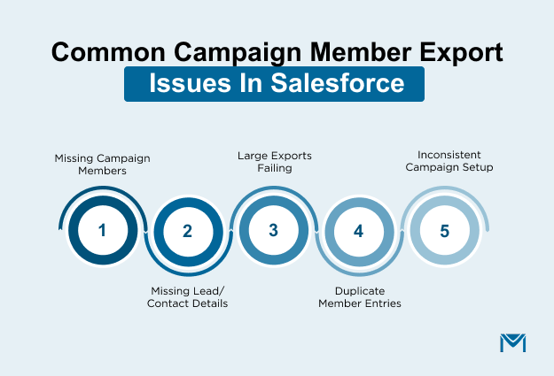 Common Campaign Member Export Issues in Salesforce